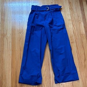 Women’s Banana Republic Blue Wide-Leg Pants
